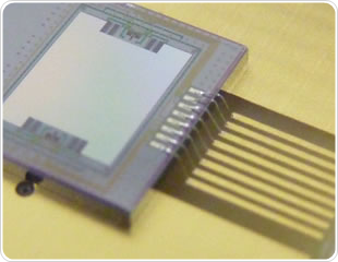 Novel Spectrometer Designed to Test the Quality of Food