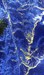 Optics News: SPECIM Spectral Imaging Ltd proclaimed that AisaDUAL, its aerial hyperspectral sensing device, has been exploited currently in the prolonged information collection for the extenuation and identification process connected with the Gulf of Mexico oil spill.