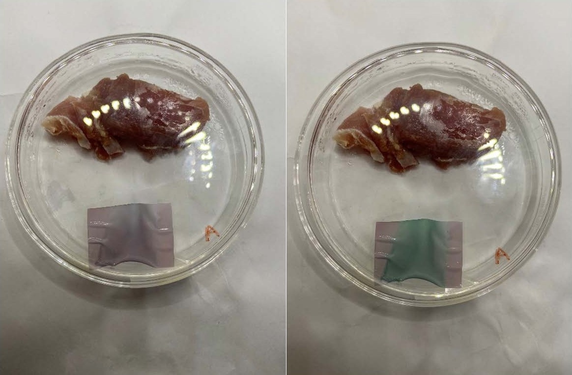 AI Sensors Detect Chicken Spoilage In Real Time
