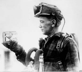 Rescue miner using a canary to help detect noxious gases in a mining pit.