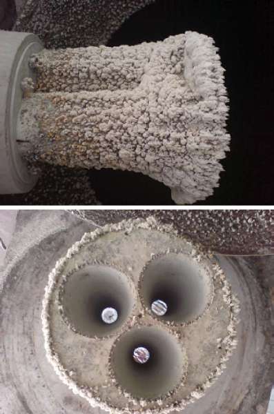 The outside of the sensor is coated with dust. Inside the transducers are clean and fully operational.