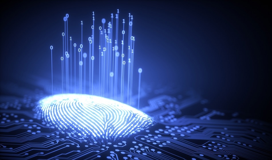 The Importance of Fingerprint Sensors