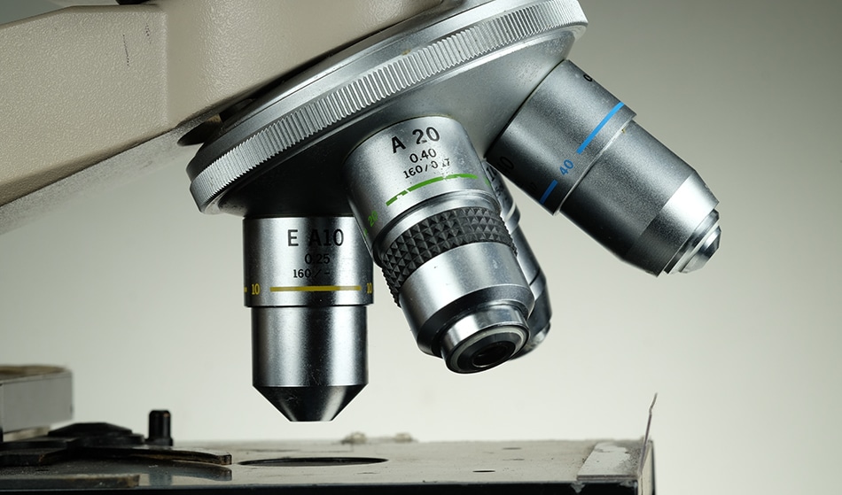 Optical Microscopy - s.sermram / Shutterstock