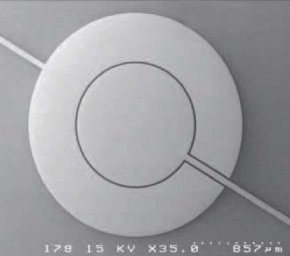 SEM image of the 4 mm diameter PZT circular membrane. Resonant modes are shown in the image to the right.
