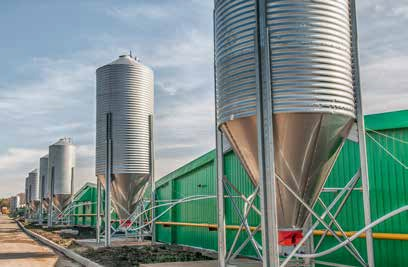 Milling and Grain
