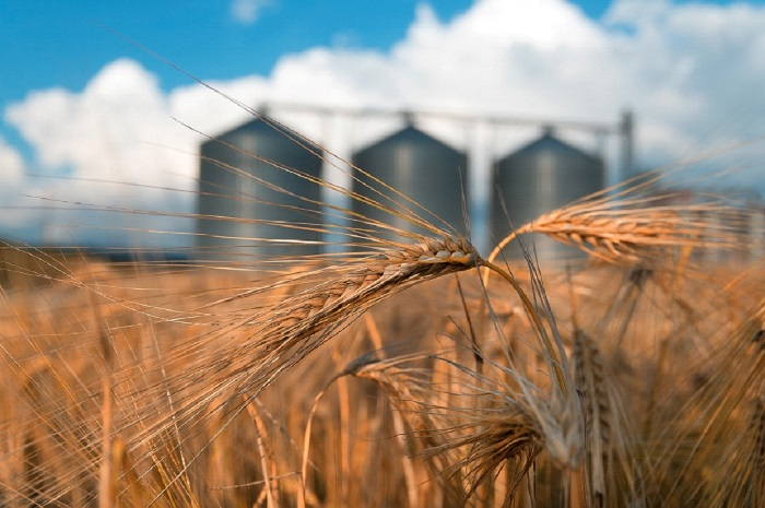How Gas Sensing Can Improve Cereal Storage Facilities