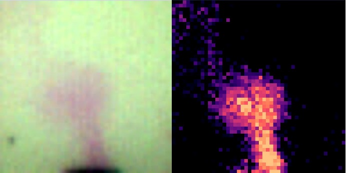 Visualization of NH3 vapors coming out from a bottle: left composite image (left), concentration map (right)