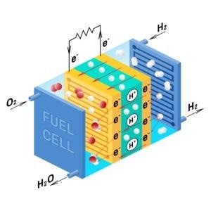 Fuel cell diagram. Vector. Device that converts chemical potential energy into electrical energy. A PEM, Proton Exchange Membrane cell uses hydrogen gas and oxygen gas as fuel.
