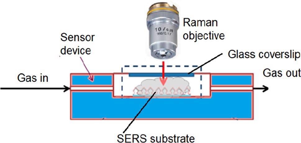 Experimental setup for continuous SERS measurements in the gas phase.