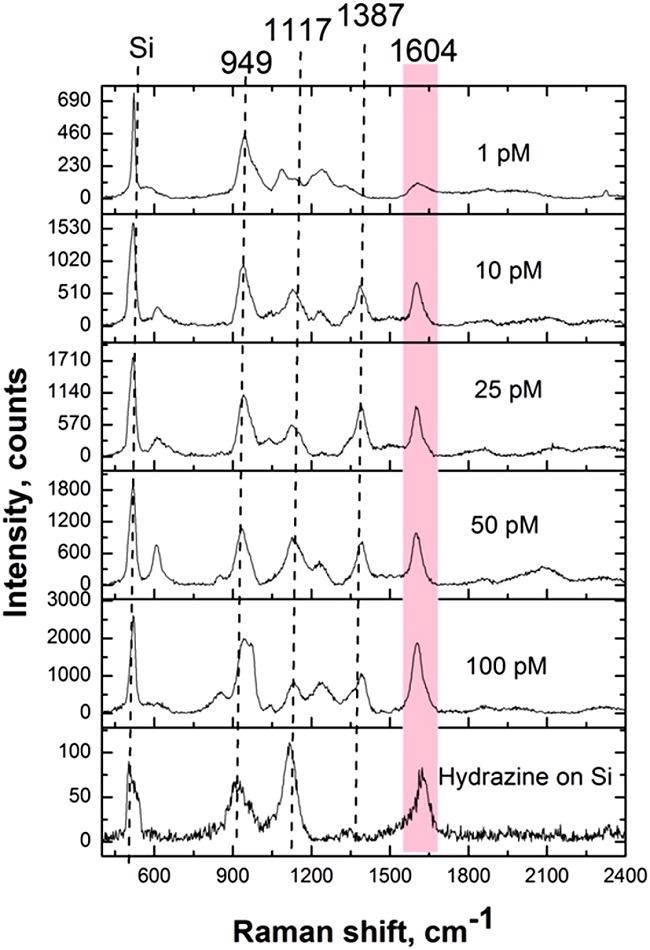 SERS spectra of hydrazine detected from solution on Ag/Si SERS substrate. Acquisition time: 20 seconds.
