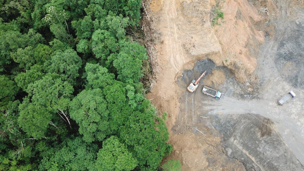Using LiDAR Technologies to Track Deforestation