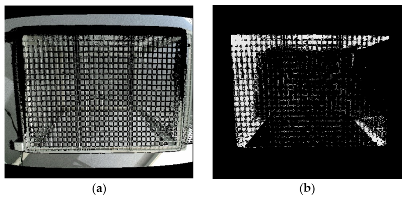(a) Merged image from ColorFrame + DepthFrame and (b) Image after applying region of interest (ROI).