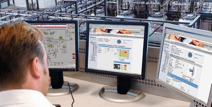Flowmeter calibration data stored in an asset management system, such as Endress+Hauser’s W@M Life Cycle Management System.