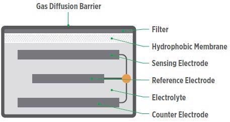 The basic structure of an electrochemical sensor.