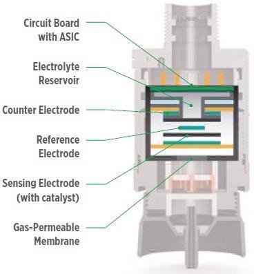 The basic structure of an XCell electrochemical sensor.