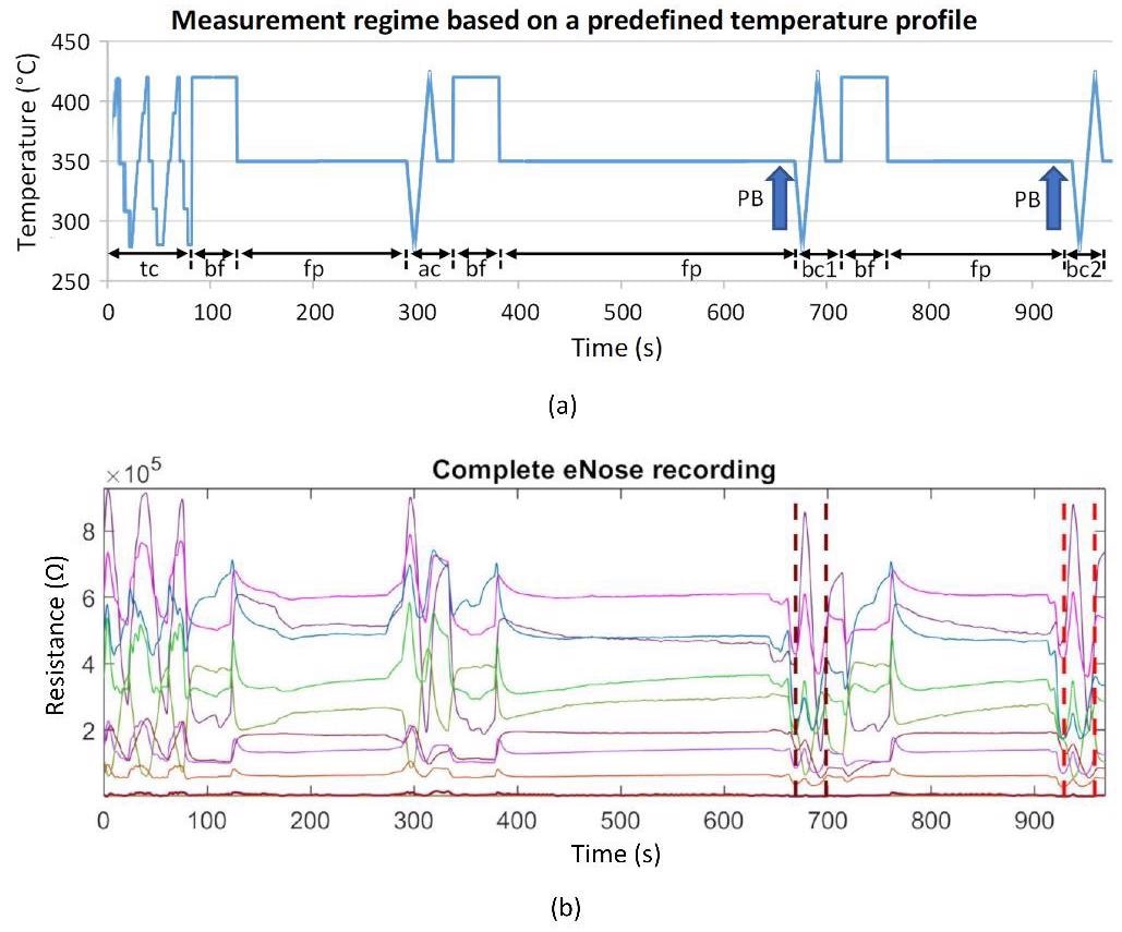 (a) Schematic representation of the measurement protocol based on a predefined temperature control of the sensor heater. It contains time-variable cyclic thermal cleaning cycles “tc,” burn-off cleaning phases “bf” (rectangle functions), subsequent flushing phases “fp” (horizontal lines), one ambient air measurement cycle “ac,” and two breathing gas measurement cycles “bc1” and “bc2.” The arrows mark the exhalation cycles (patient breathing: PB); (b) example of a recording of 9 sensor layer resistance curves. Vertical dashed lines mark the two breathing gas measurements.