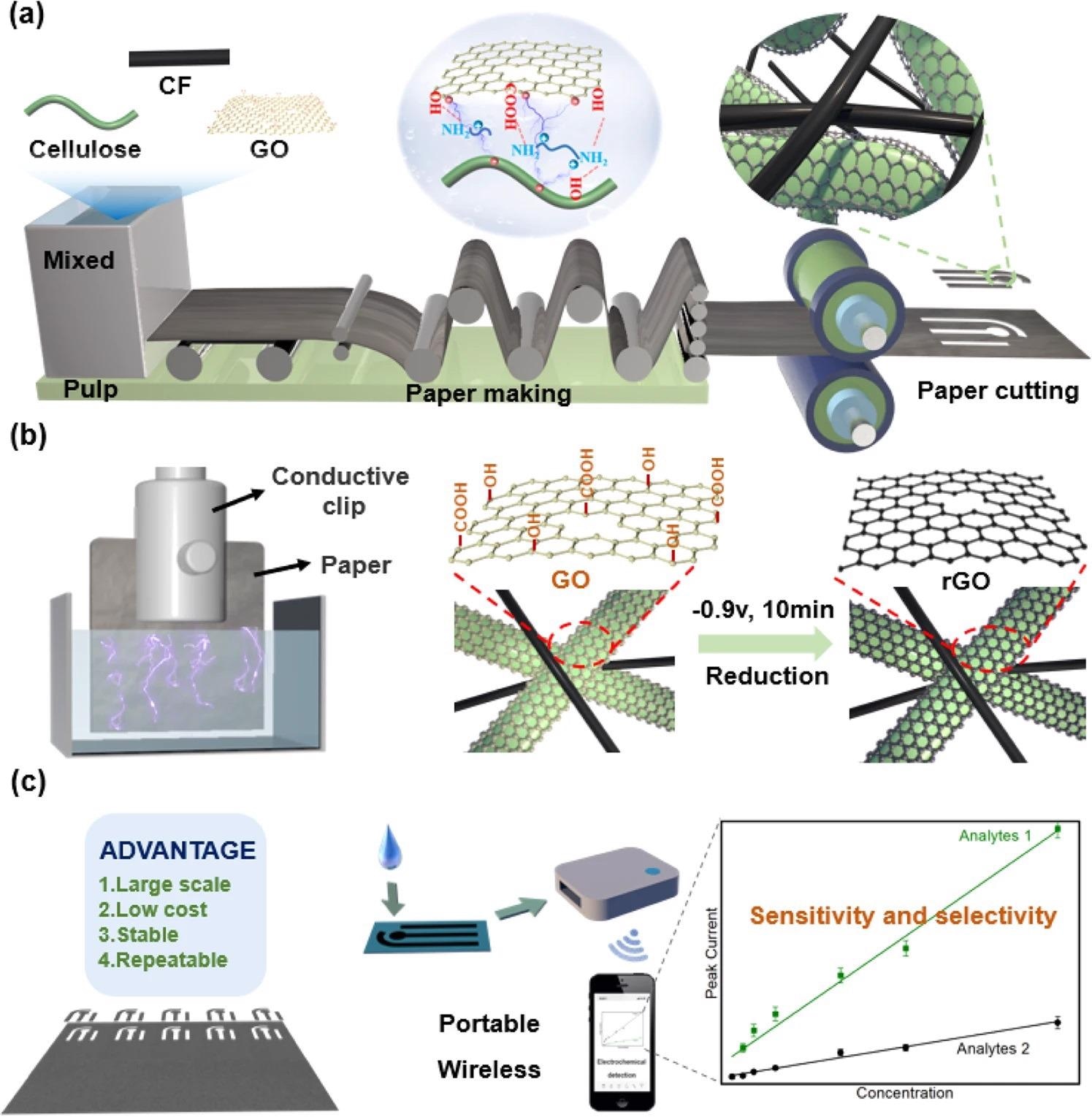 Large-scale preparation of high-performance paper-based electrochemical sensors. (a) Large-scale papermaking. By controlling interfacial interactions, composite paper was prepared composed of cellulose, carbon fibers (CF, confers conductivity), and graphene oxidize (GO, confers electrocatalytic activities). (b) Electrochemistry reduction of GO. Electrochemistry provides a simple scalable approach to GO reduction. (c) Vision of paper-based electrochemical sensor. The vision for high-performance and sustainable paper-based sensors for portable electrochemical detection.