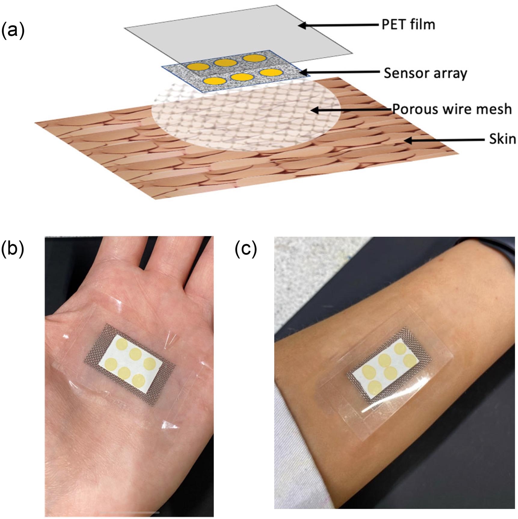 (a) Schematic of the different layers comprising the wearable platform applied to the skin surface; (b) image of wearable platform worn on palm; and (c) on the forearm.