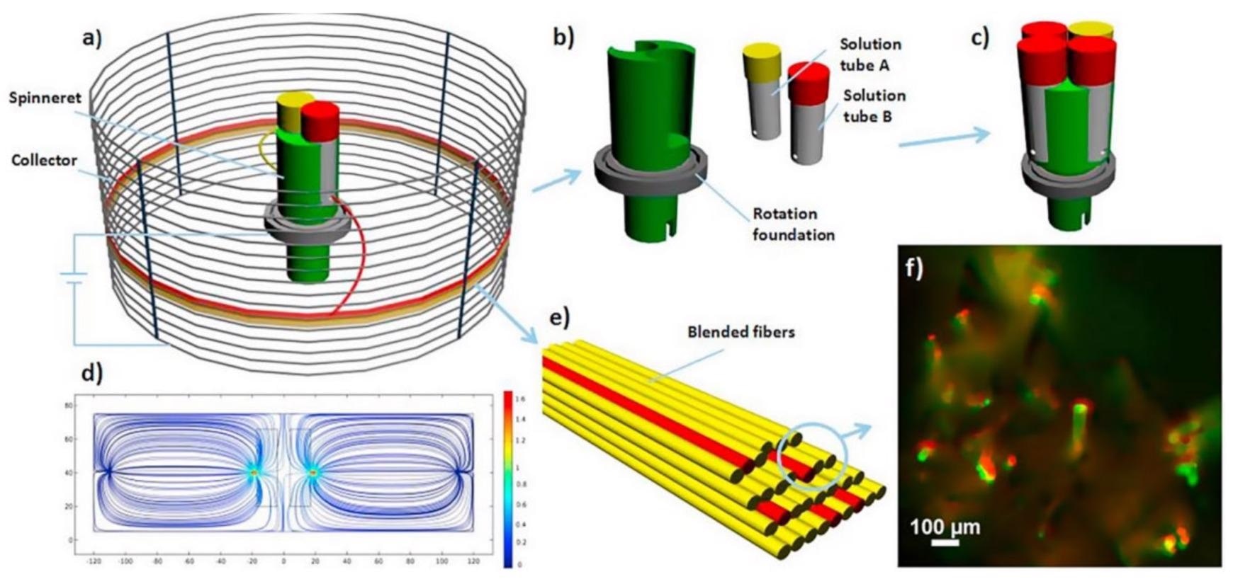 Schematic diagram of centrifugal electrospinning. (a) Structure chart; (b) rotating device; (c) nozzle is mounted on a rotating body; (d) electric field distribution map; (e) composite fiber; (f) fluorescence image of composite fiber.