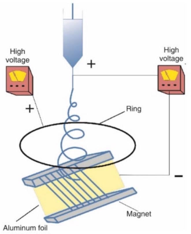 Schematic diagram of magnetic field electrospinning.