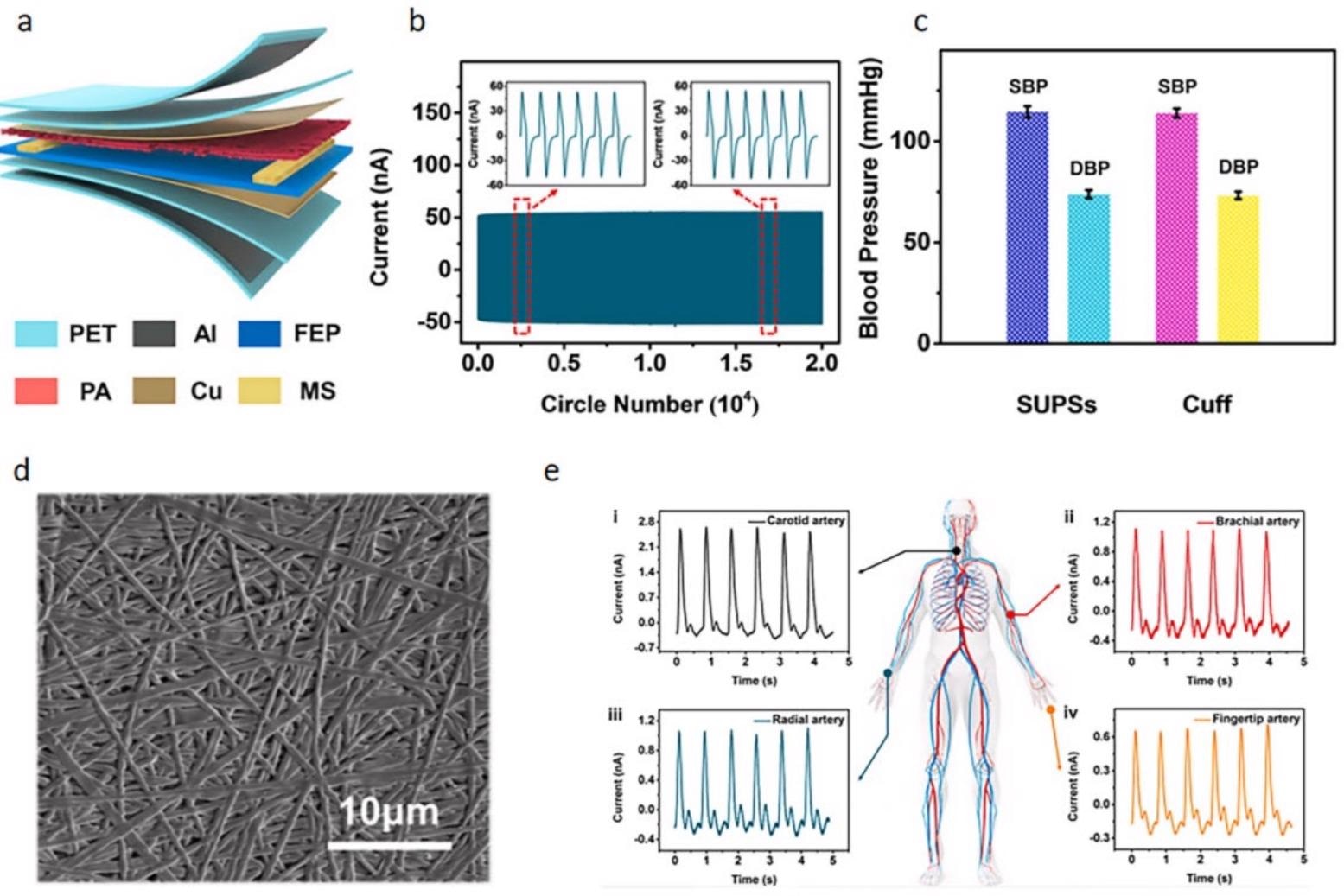 The construction diagram of the sensor and the monitoring diagram of blood pressure and pulse. (a) Schematic diagram of the sensor structure; (b) cycling stability of the sensor; (c) average blood pressure values measured by sensors and electronic sphygmomanometers; (d) SEM image of PA nanofiber membrane; (e) pulse signal under different arteries.