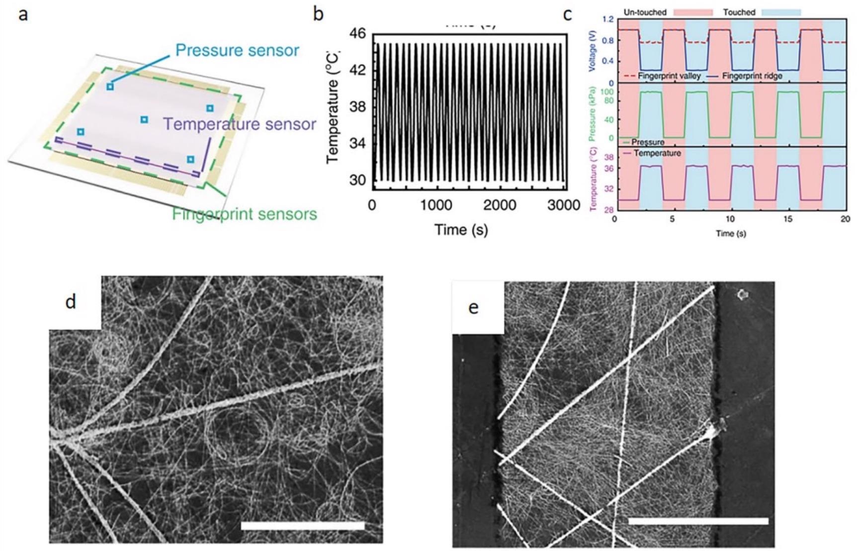 Sensor schematic diagram and performance characterization diagram. (a) Sensor schematic diagram; (b) stability graph with repeated loading and unloading; (c) sensor real-time sensorgram; (d, e) SEM images of a hybrid electrode and patterned hybrid electrode.
