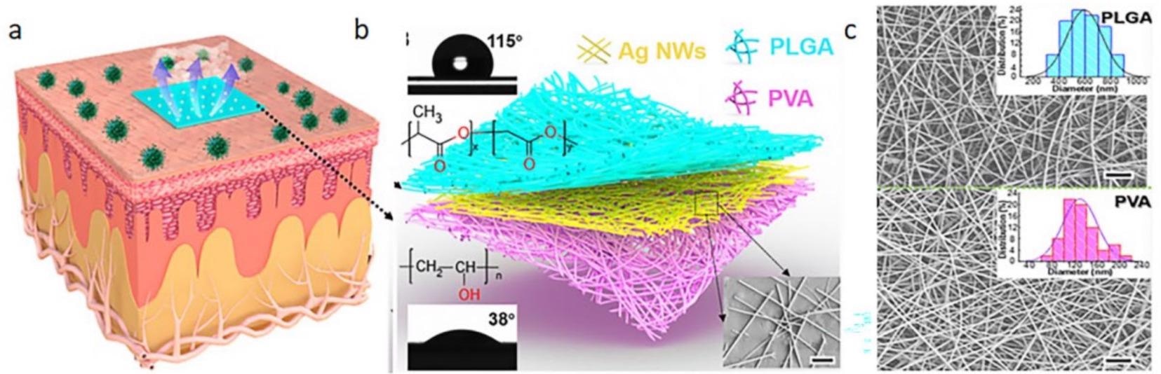 Schematic diagram of electronic skin and its scanning electron micrograph. (a) The electronic skin is attached to the epidermis; (b) electronic skin structure diagram; (c) SEM image of the upper and lower layers of material.