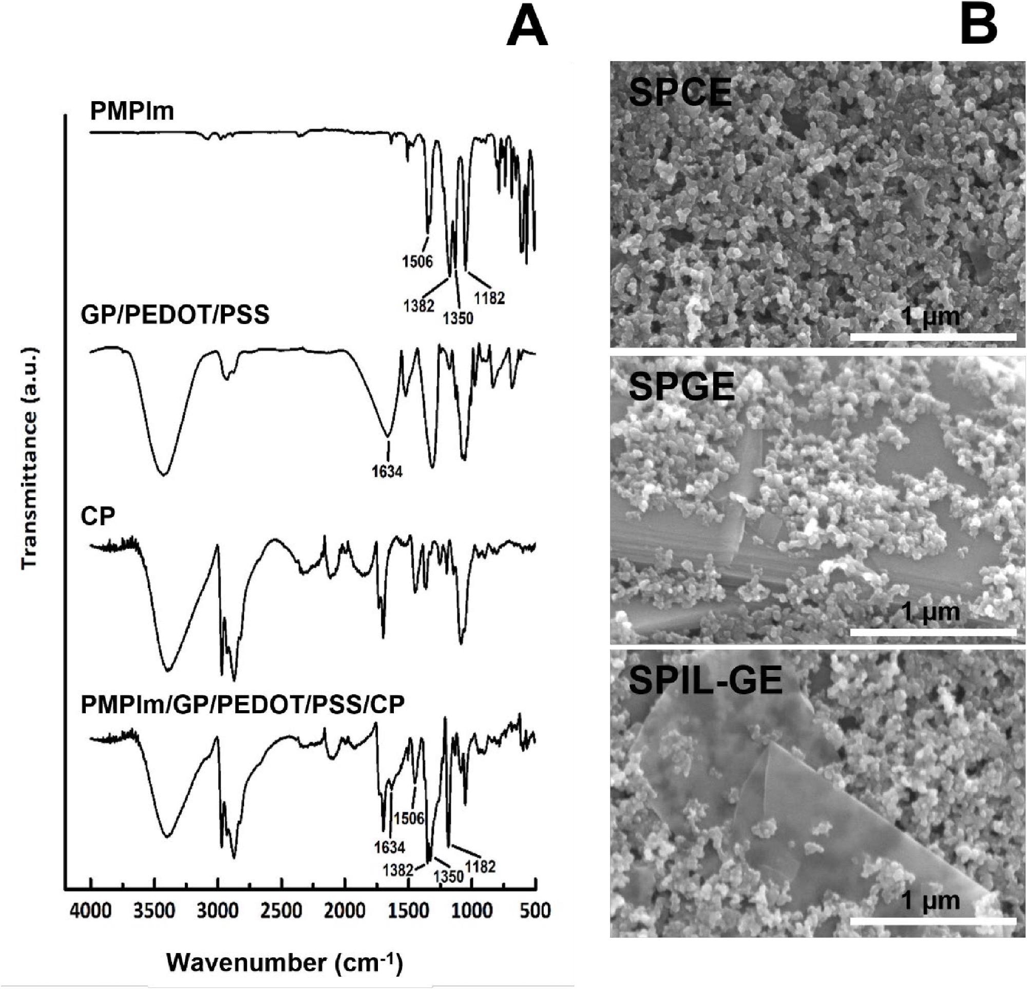 (A) FTIR spectra of PMPlm, GP/PEDOT/PSS, CP and PMPlm/GP/PEDOT/PSS/CP. (B) SEM micrographs of SPCE, SPGE and SPIL-GE.