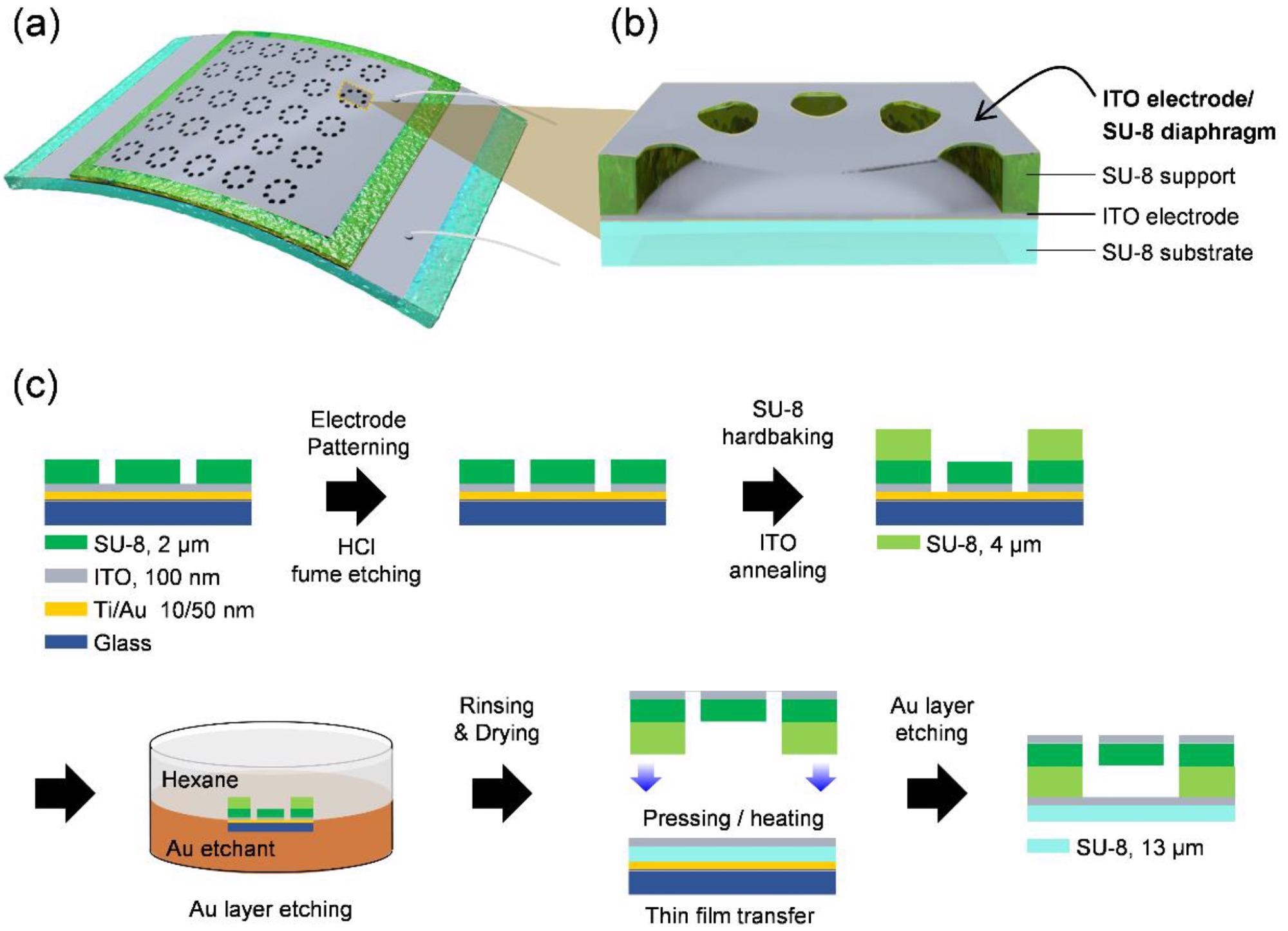 Design and fabrication process of the vibration sensor. (a) Schematic design of the transparent and flexible vibration sensor consisting of a diaphragm array. (b) Schematic of the cross-sectional viewed suspended diaphragm of the vibration sensor. (c) The overall fabrication process of the vibration sensor.