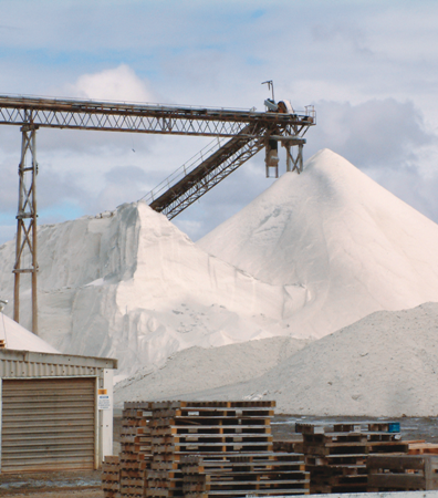 Salt Plant
