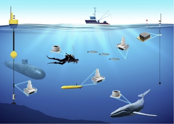 Aquatic and Underwater Use of Pressure Sensors