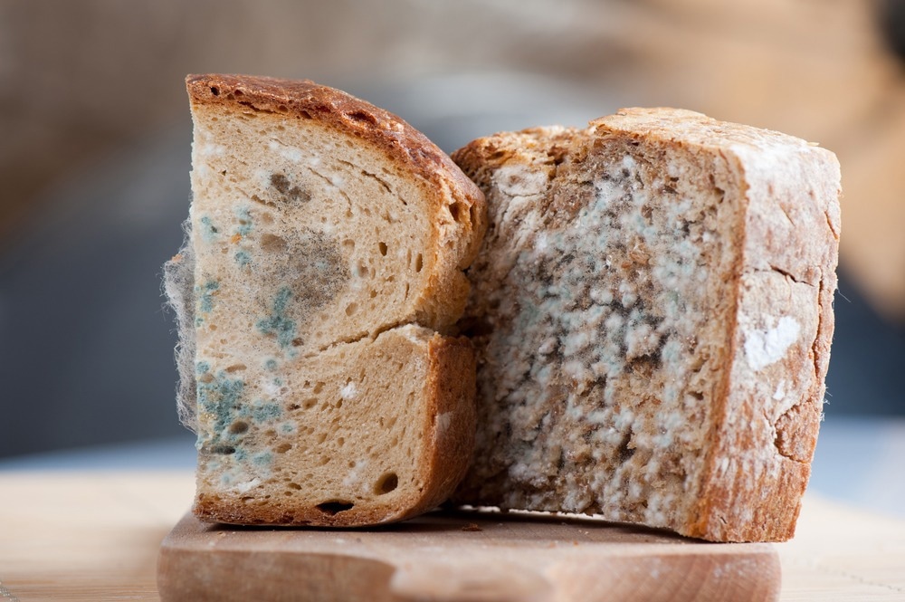 Sensors to Monitor Food Spoilage