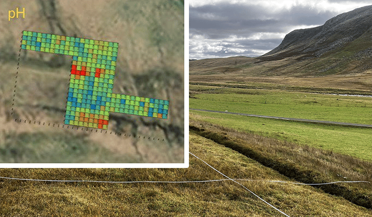 pH grid measurements on Widdybank Meadow.