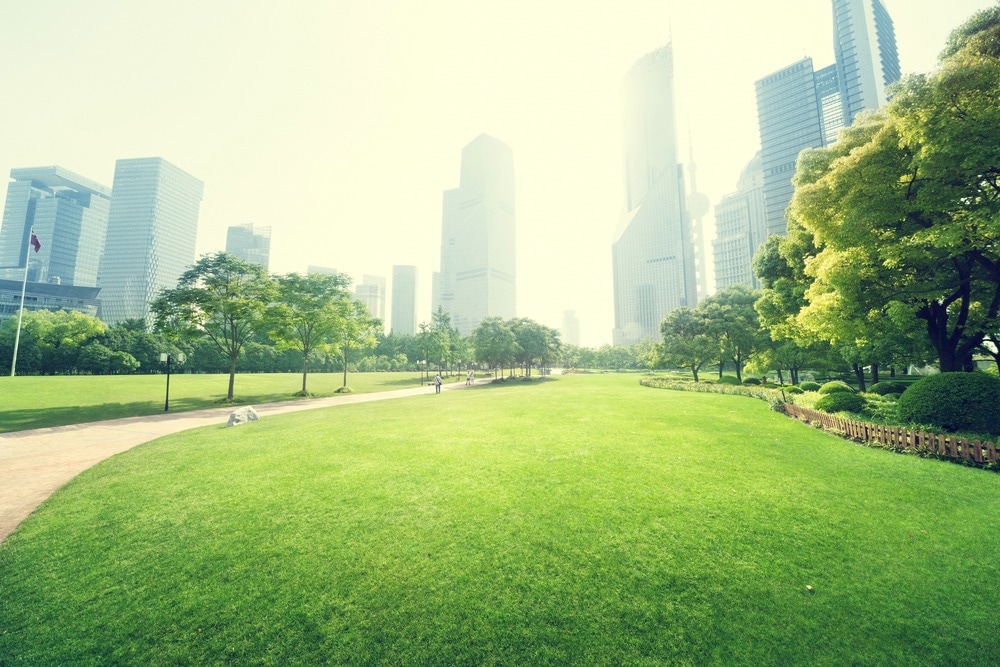 park, air