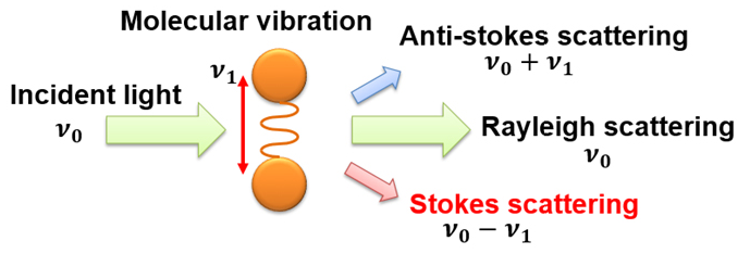 The principle of Raman spectroscopy