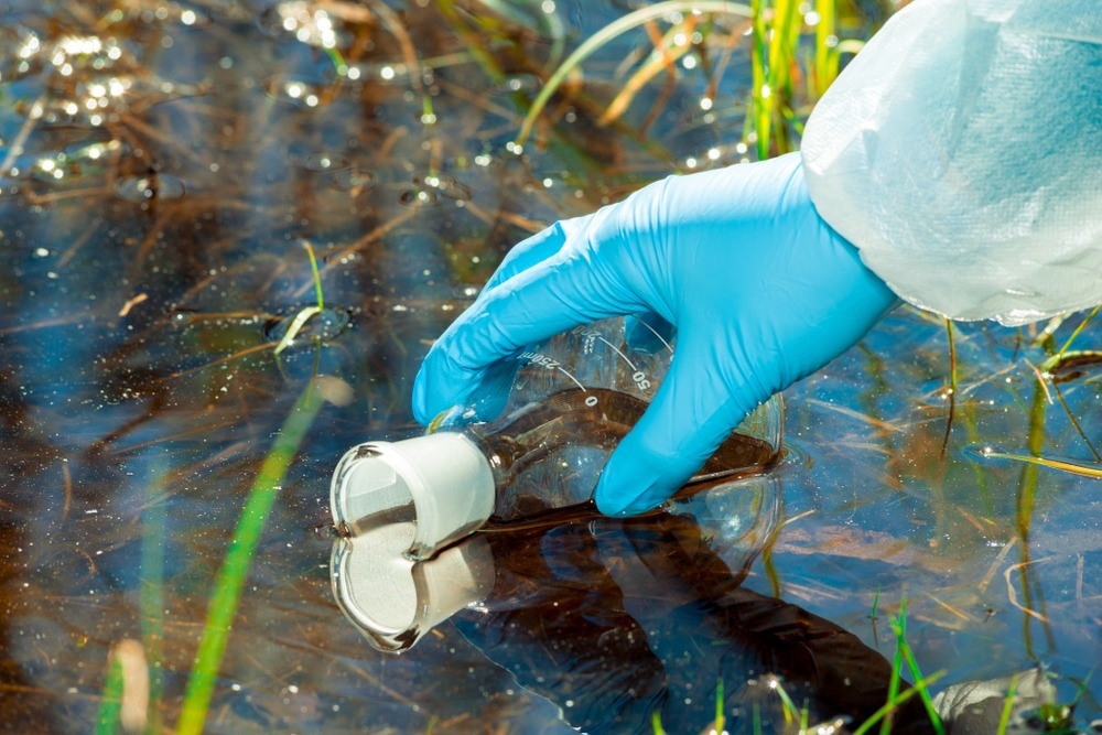 close-up ecologist