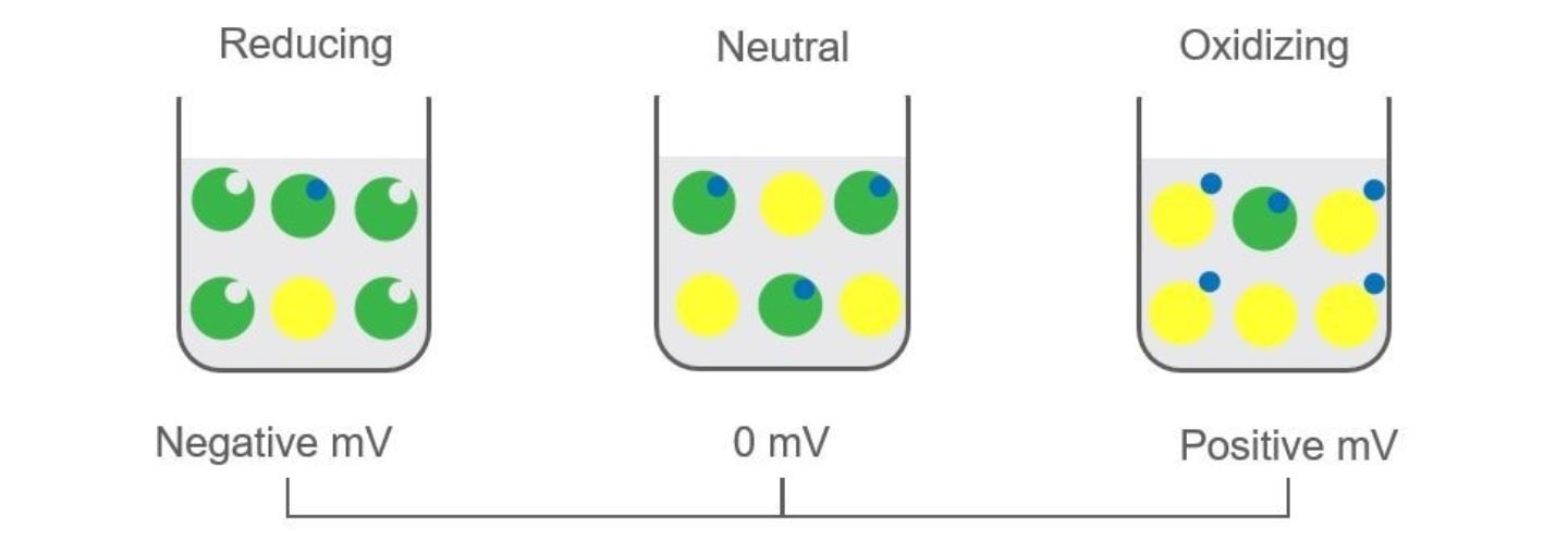 What is Oxidation Reduction Potential and How Do ORP Sensors Work?