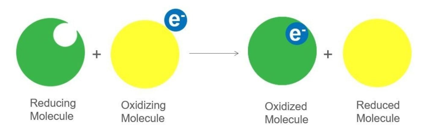 What is Oxidation Reduction Potential and How Do ORP Sensors Work?