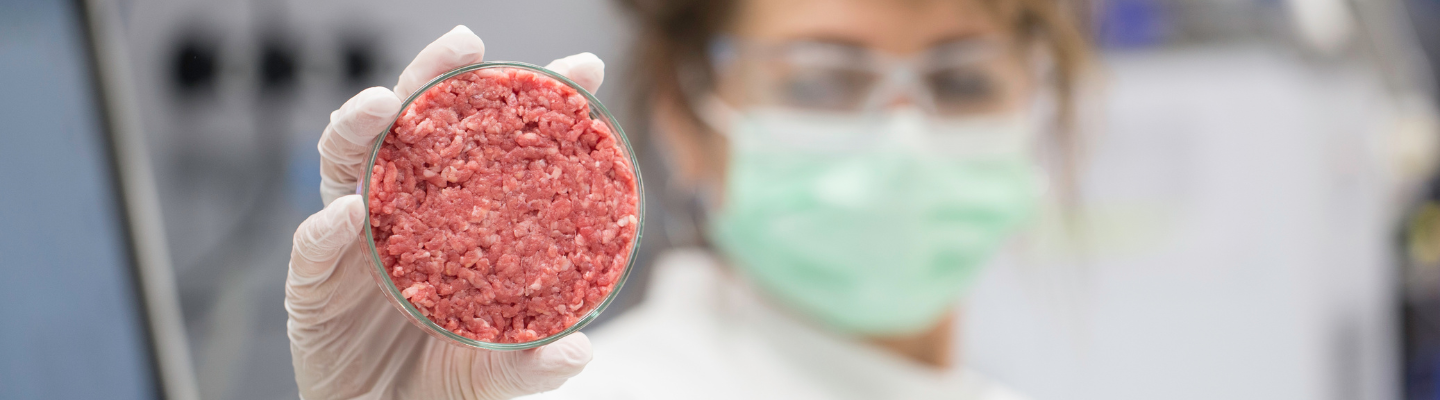 Achieving Cost-Efficient Cultivated Meat Production with Cell Density Sensors