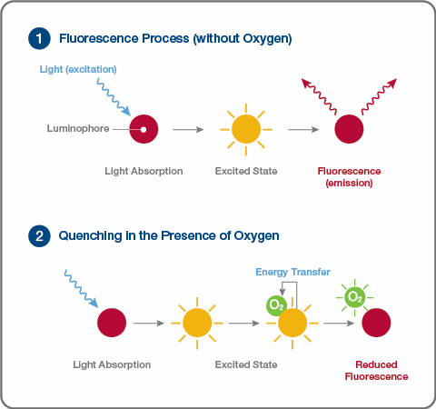 What are the Principles of Operation of DO Sensors?