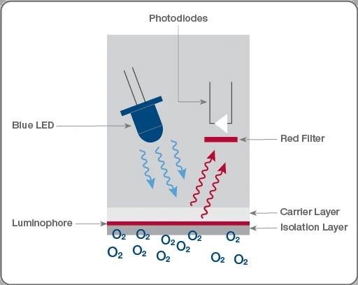 Basics of optical DO sensor measurement channel. Starting at the blue LED, photons travel to the luminophore and are emitted back to the photodiode at a frequency relative to the amount of oxygen diffused through the membrane.