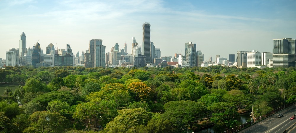 Public park and high-rise buildings cityscape in metropolis city center . Green environment city and downtown business district in panoramic view .