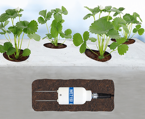 What Sensors to Use for Pore Water Conductivity Readings?