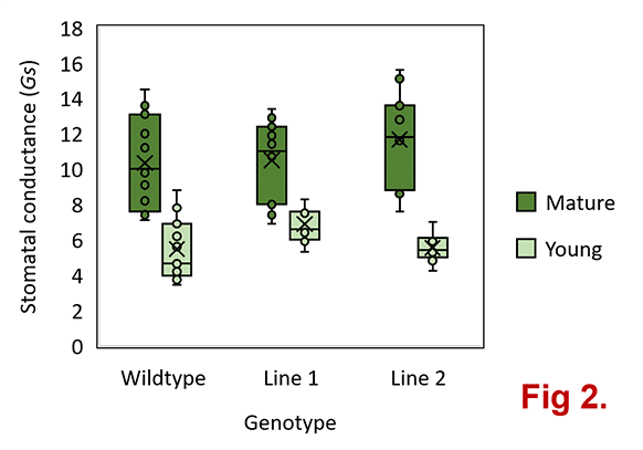 How The Royal Botanic Gardens, Kew, Measure Stomatal Conductance