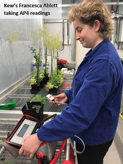 How The Royal Botanic Gardens, Kew, Measure Stomatal Conductance