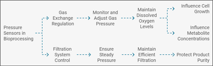 Bioprocess Monitoring to Improve Quality Control