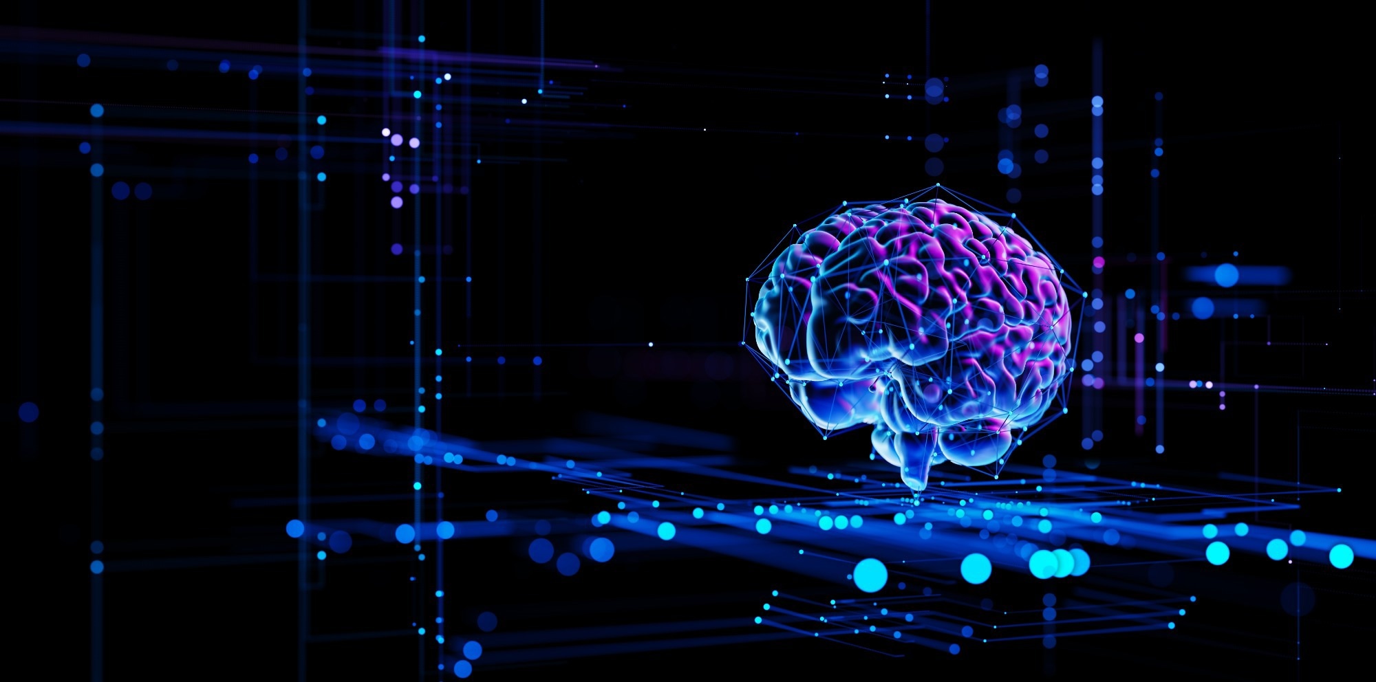 Digital Brain Hologram