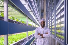 The Role of CO2 in Maximizing Indoor Farming
