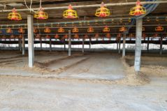 The Role of CO2 in Maximizing Indoor Farming