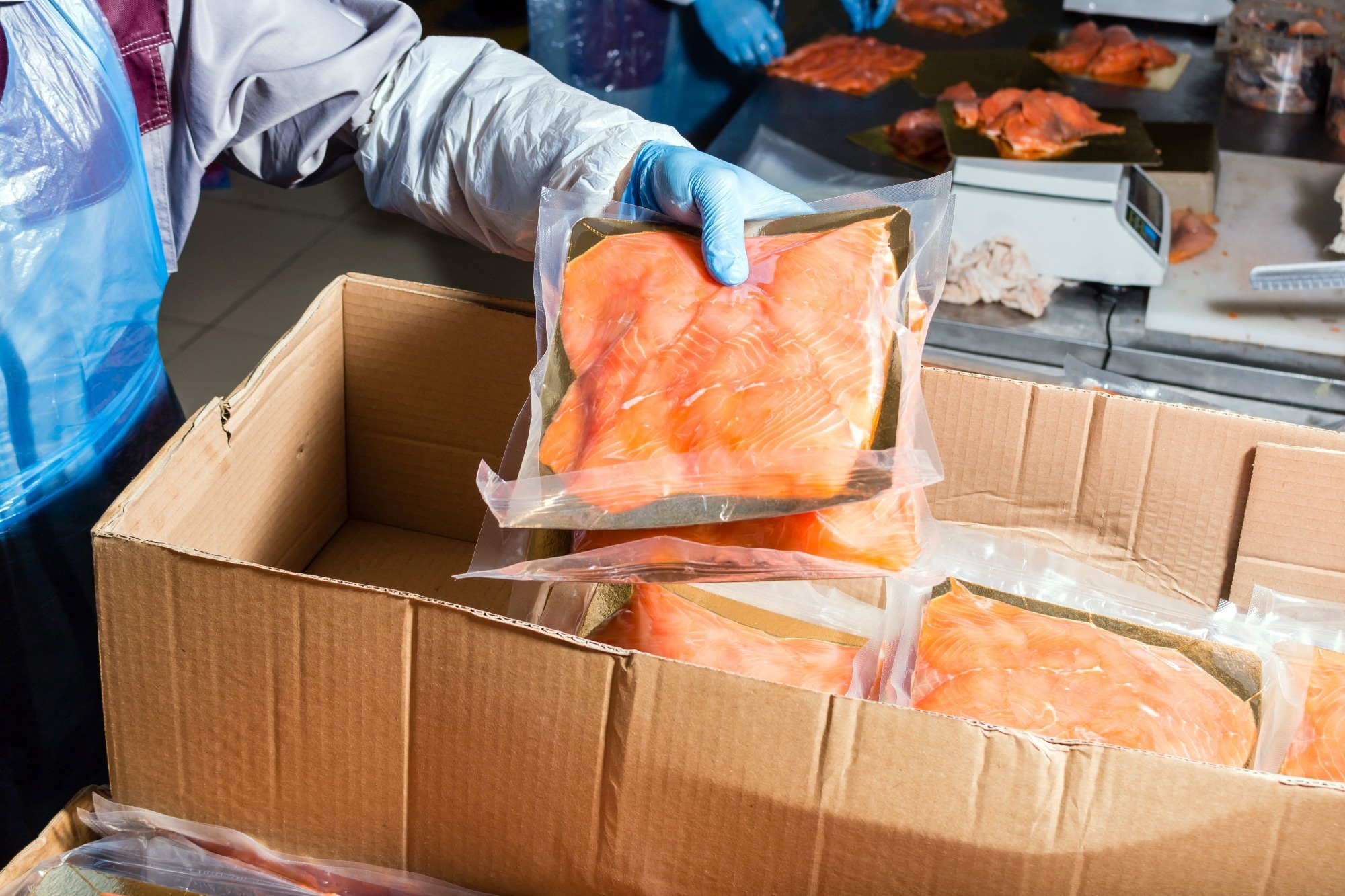Fish production. The worker puts the finished product into a box for transportation.